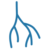 O que é cirurgia vascular?