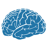 O que o neurologista faz na primeira consulta?