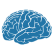 Neuropediatria
